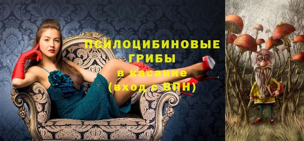 МДПВ Богородск