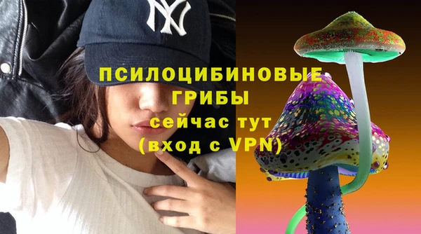 первитин Богородицк