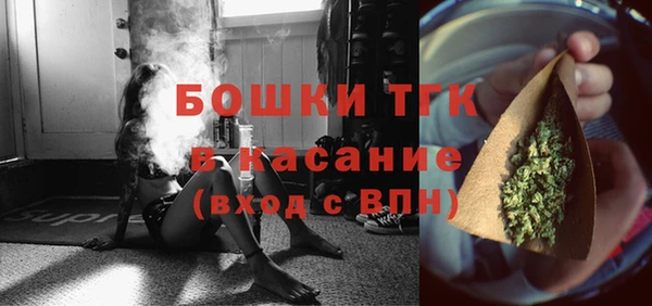 первитин Богородицк